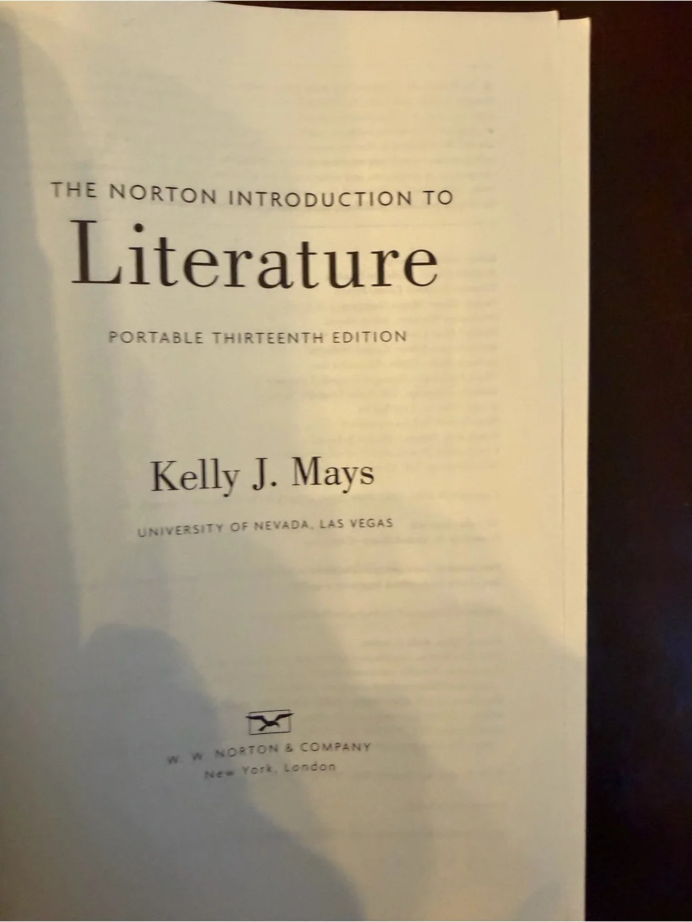 W W Norton introduction literature